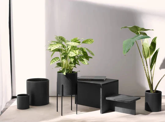 planter - black iron Gallery