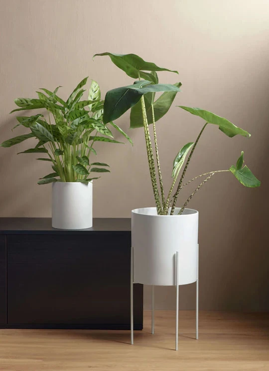 metal stand - white Gallery