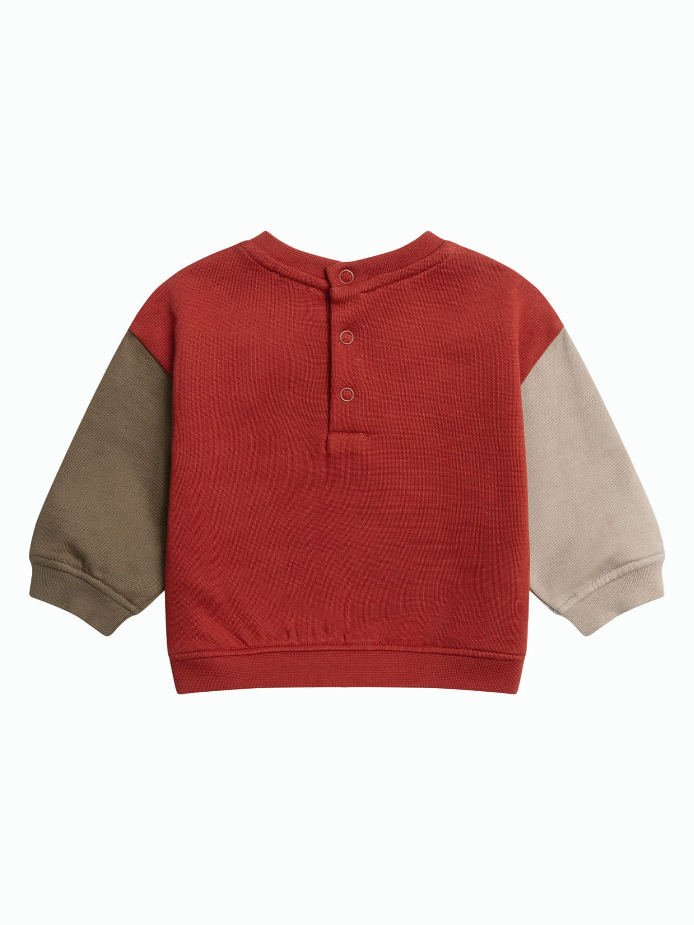 Colorblock Sweatshirt with Embroidered Lion Graphic Gallery