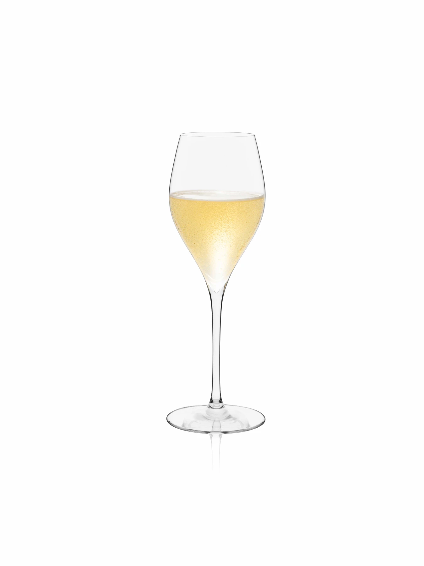Set of 6 - CHAMPAGNE - GLASS Gallery