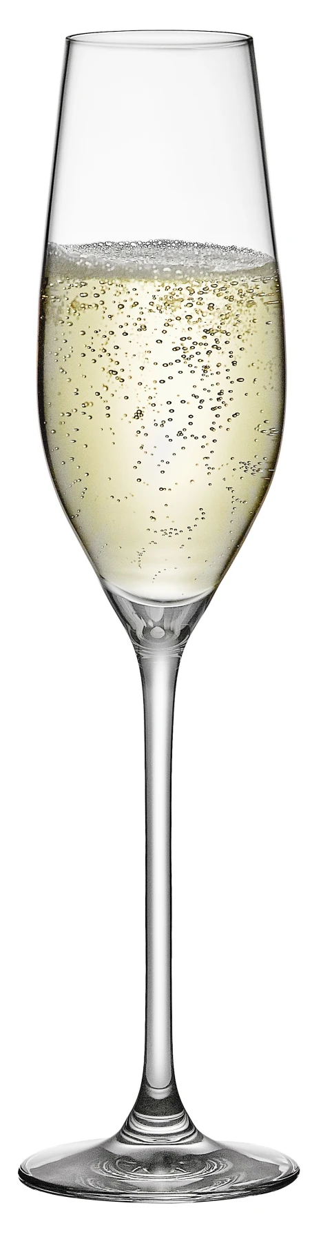 Set of 6 - CHAMPAGNE FLUT GLASS Gallery