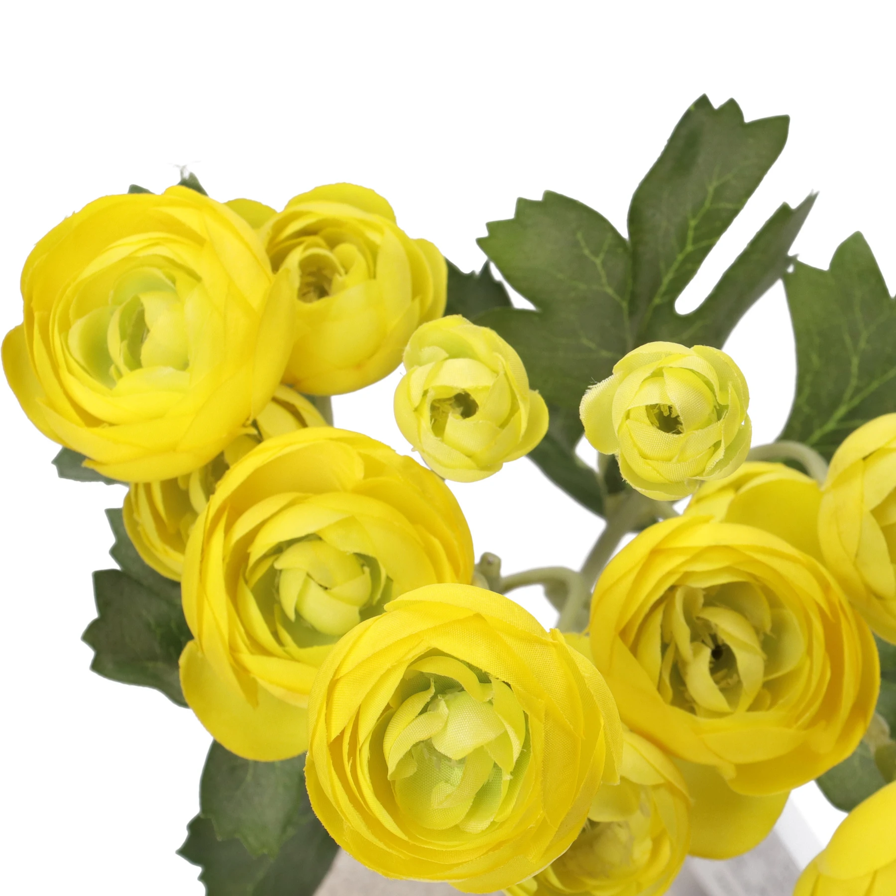 ILMAZZOLINO RANUNCOLO YELLOW ORANGE Gallery