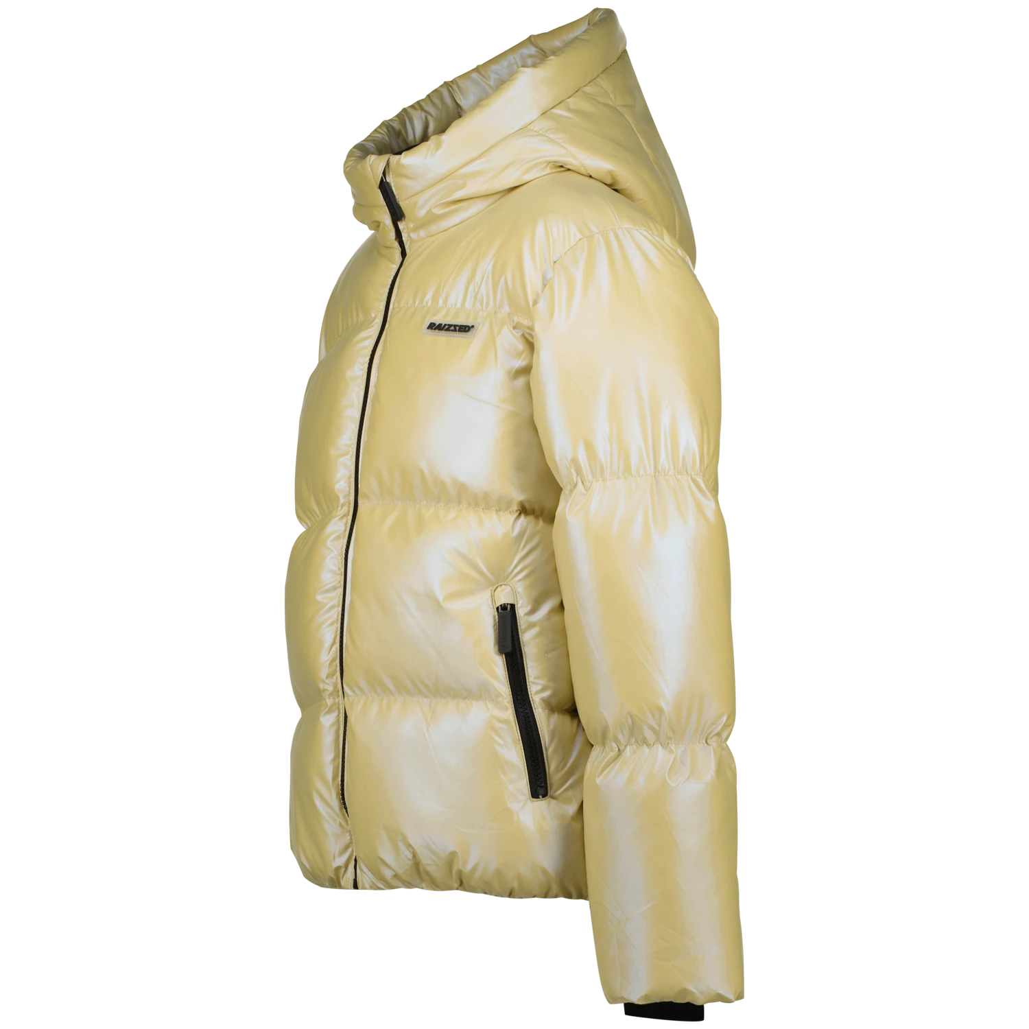 Shiny Full-Zip Puffer with Lining Gallery
