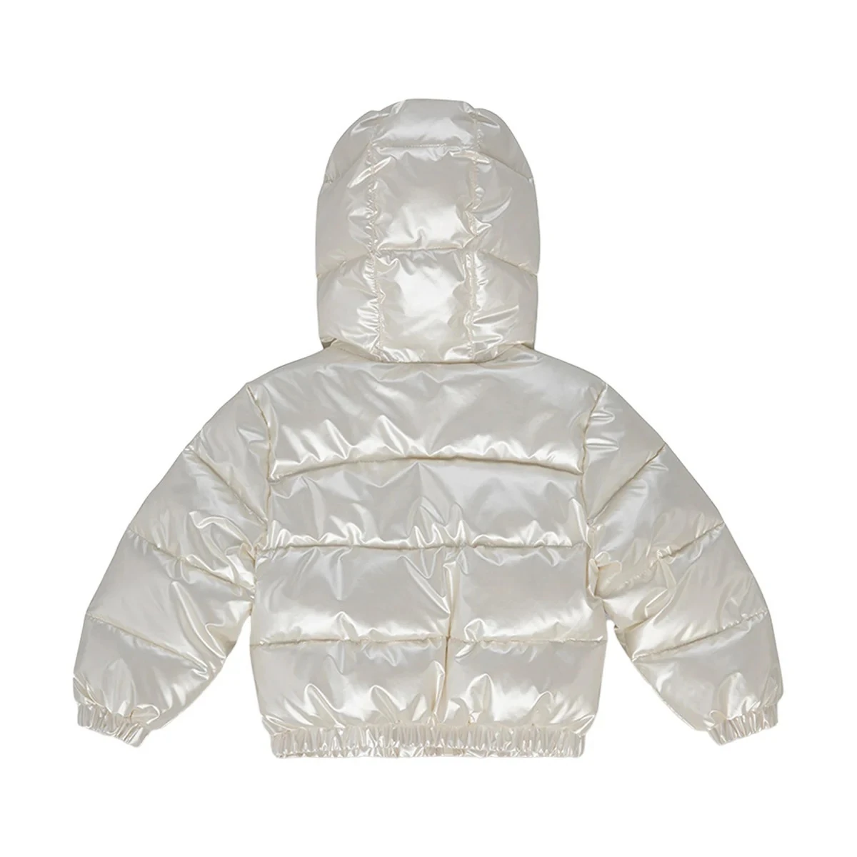 Shiny Puffy Jacket Gallery