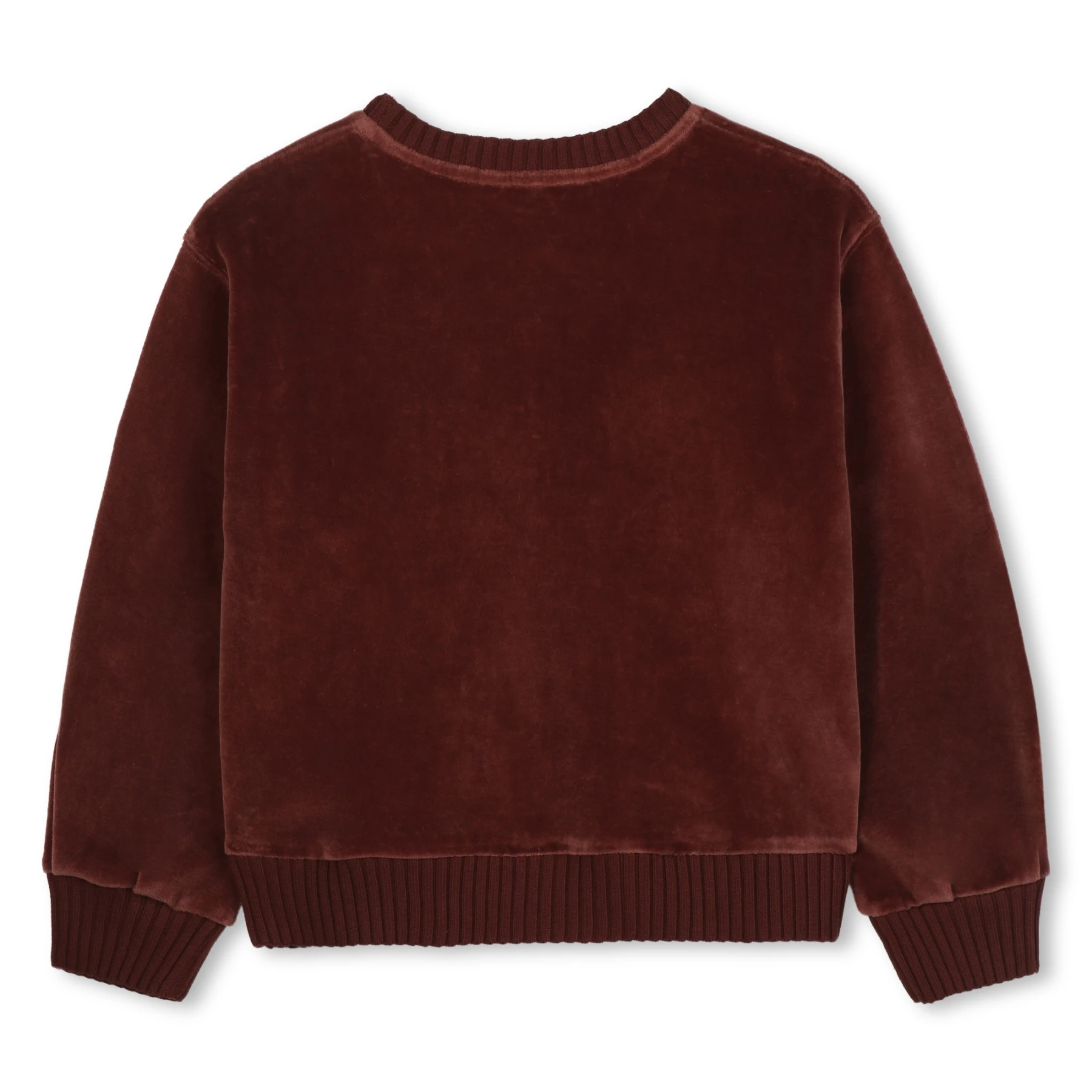 Organic Framing Velvet Crewneck Sweatshirt - Junior Gallery