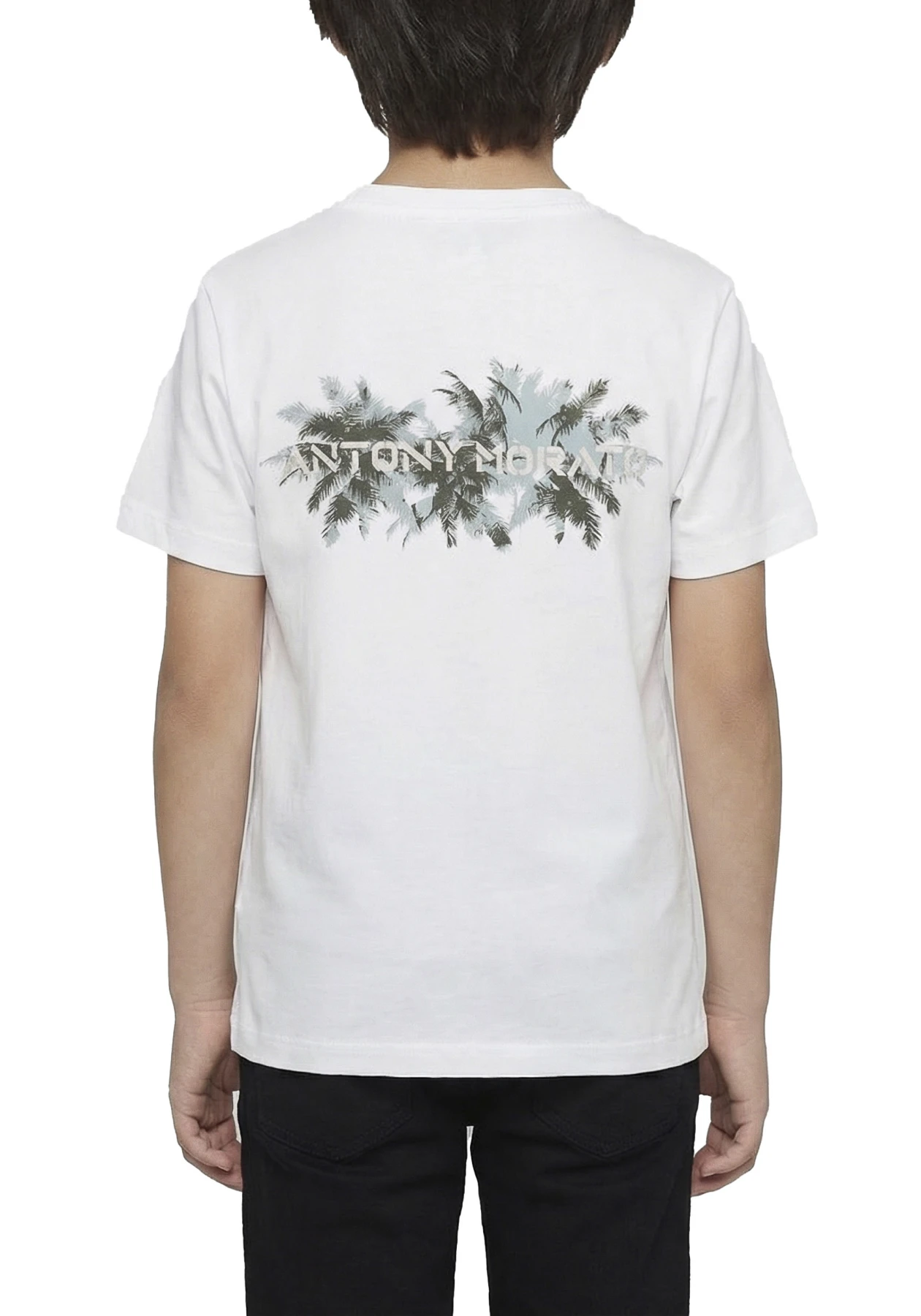 Palm Tree Graphic T-Shirts Gallery