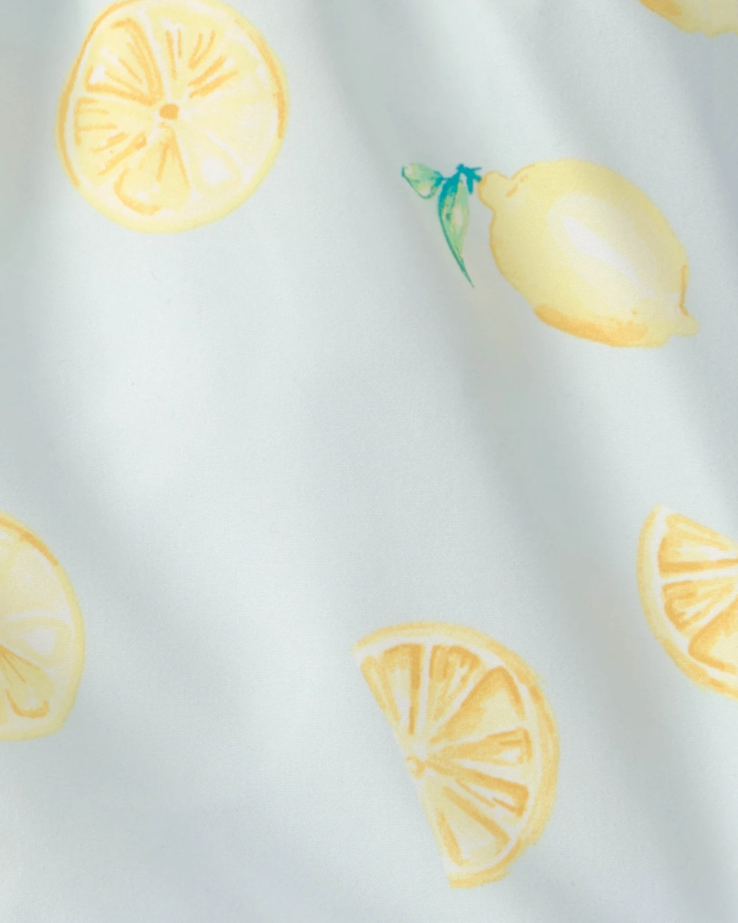  Toddler Boy Lemon Swim Trunks - Blue Gallery