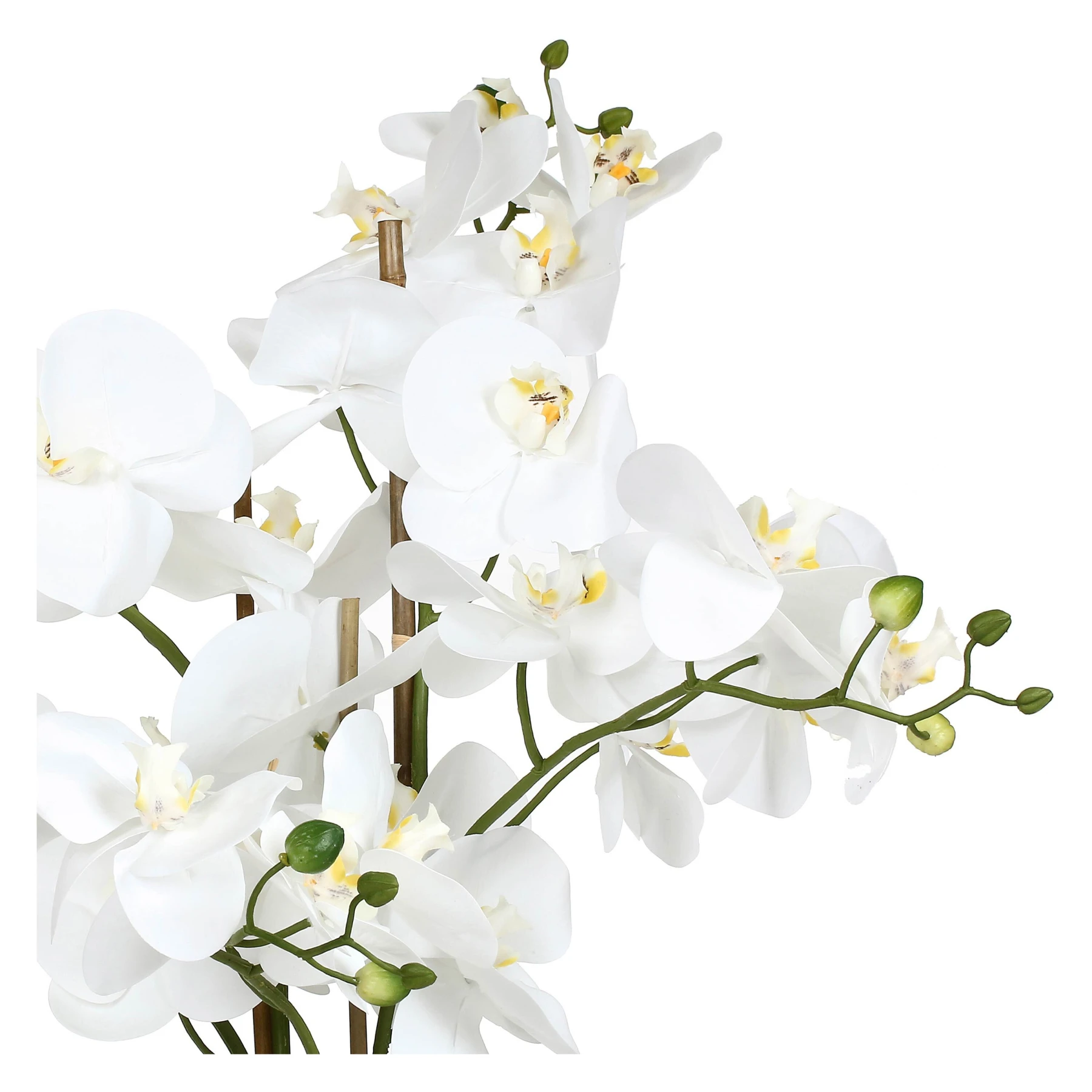 White Orchids xL, Veronica - Fabric and Plastic, 93 cm, Ø 20 cm root ball Gallery
