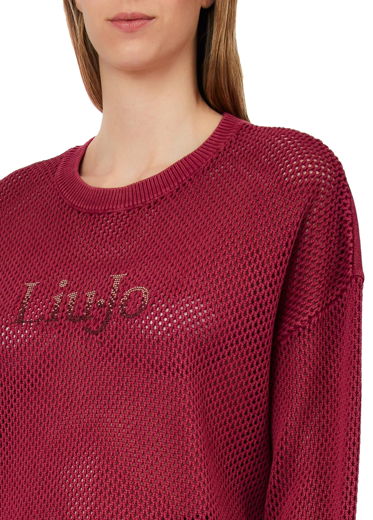 Open-knit Mesh Long Sleeve Pullover            Gallery