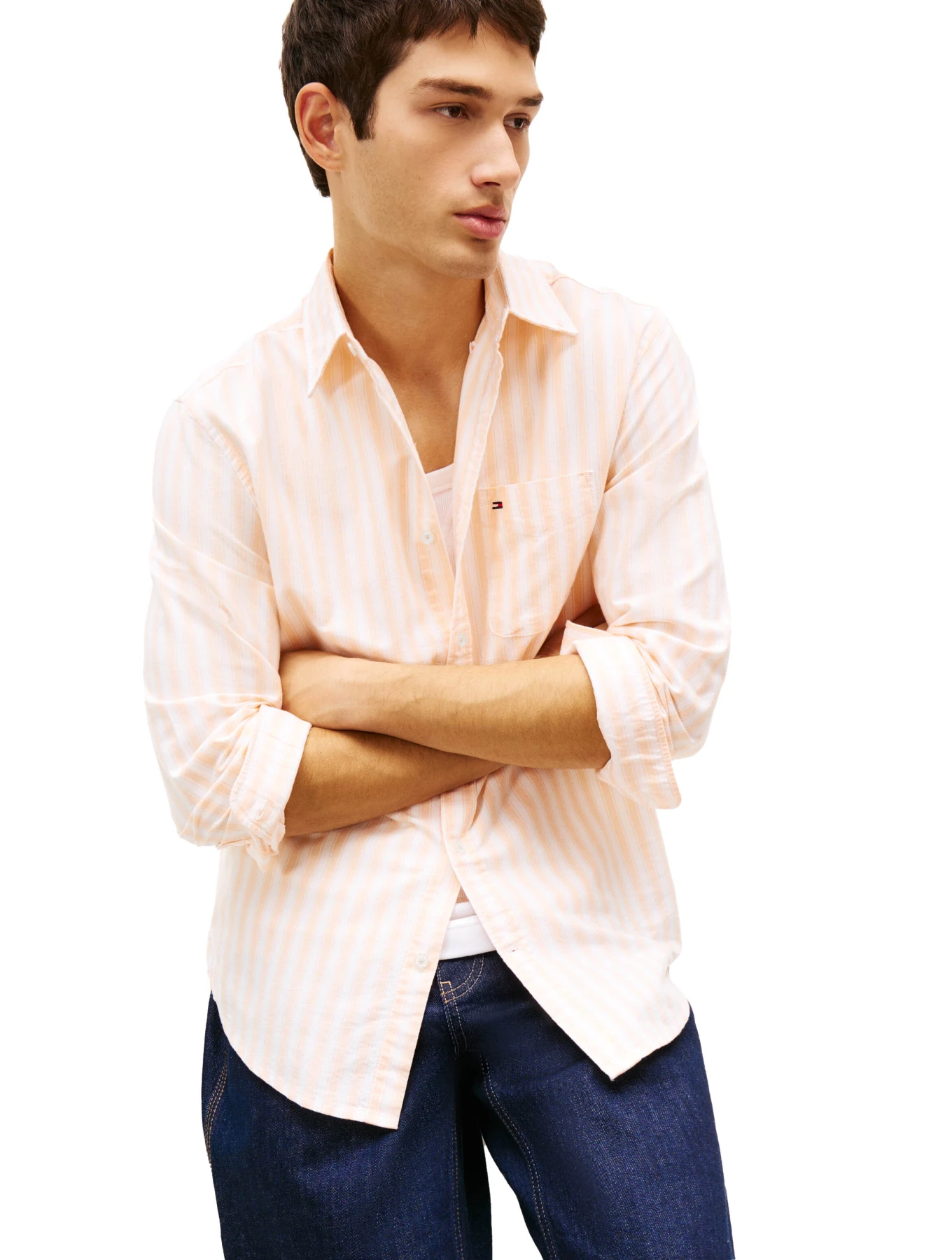Regular Fit Stripe Oxford Shirt Gallery