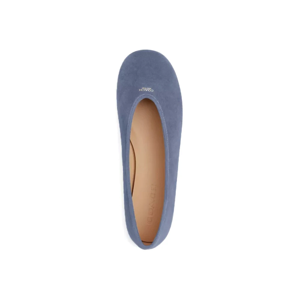 Houston Suede Round Toe Ballerina Gallery