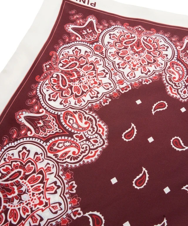 Paisley Print Scarf with Contrast Border Gallery