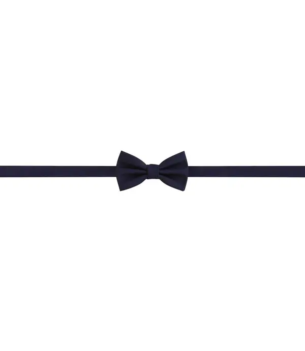 Silk Bowtie 1 Image
