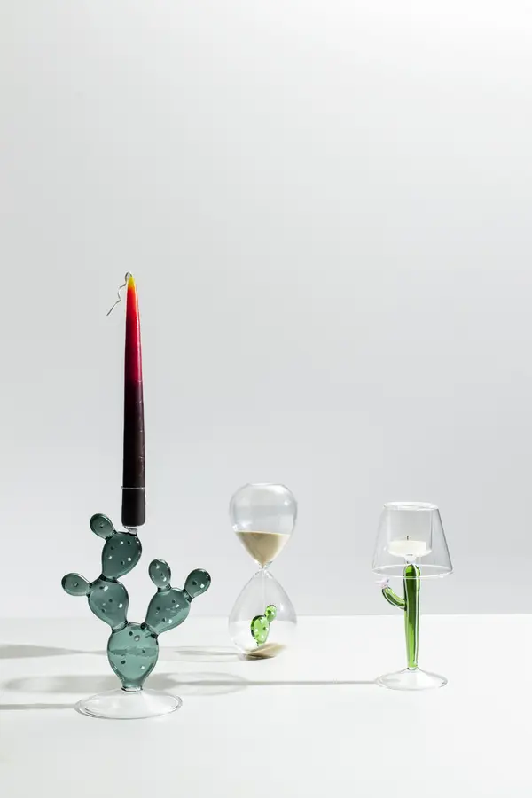 DESERT PLANTS hourglass cactus green 1 Image