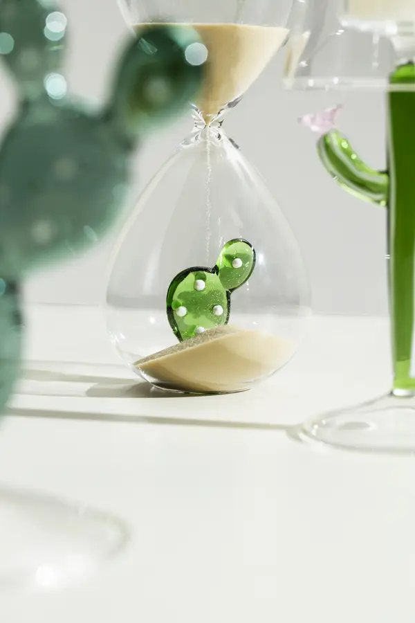 DESERT PLANTS hourglass cactus green 2 Image