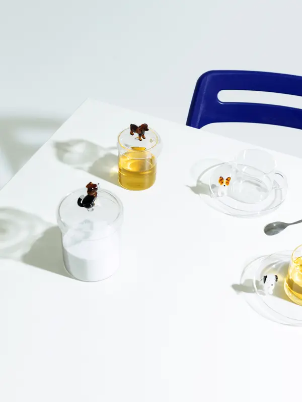 DOGS box  English Foxhound 1 Image