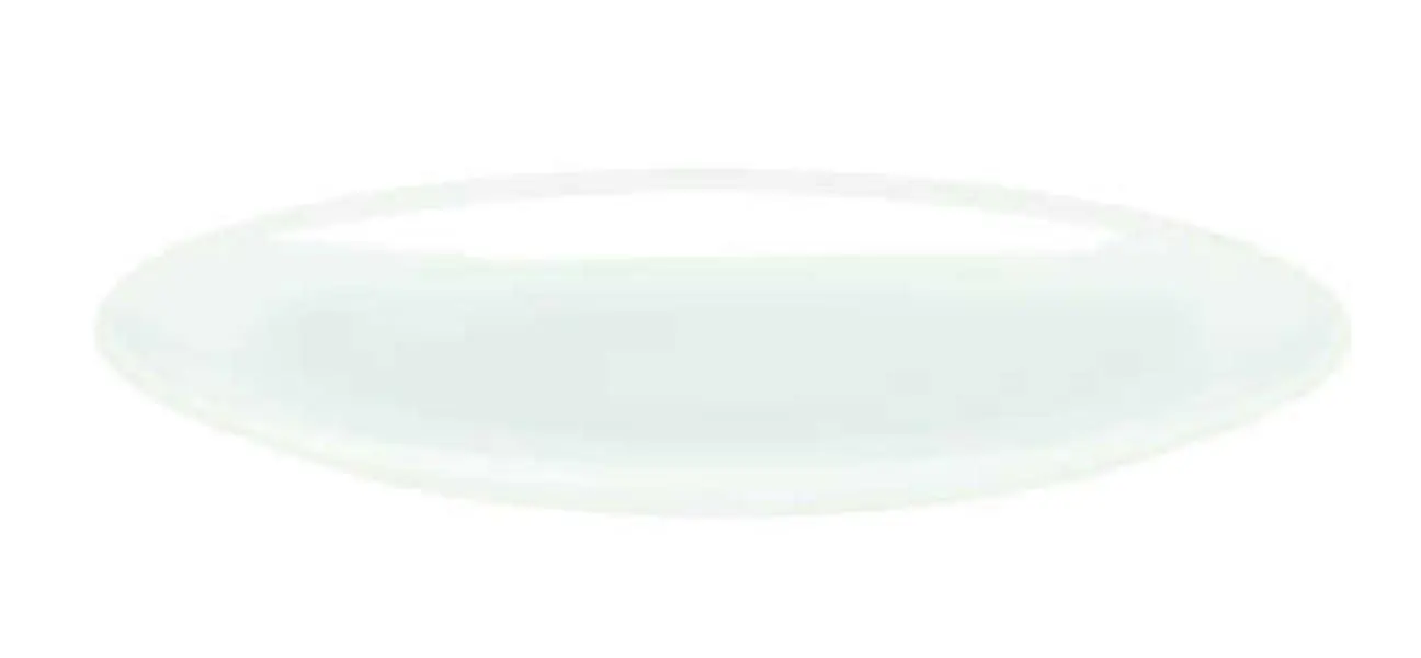 Dinner Plate 1 Image