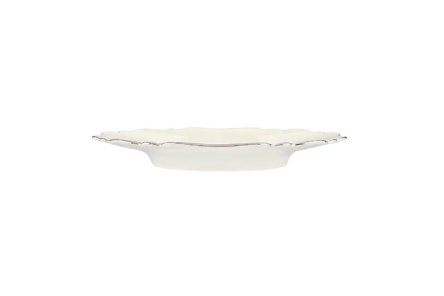 Tide Platinum Banded Flat Plate 21cm 1 Image