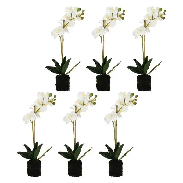 VERONICA CLUMP WITH WHITE ORCHIDS S(#) 2 Image