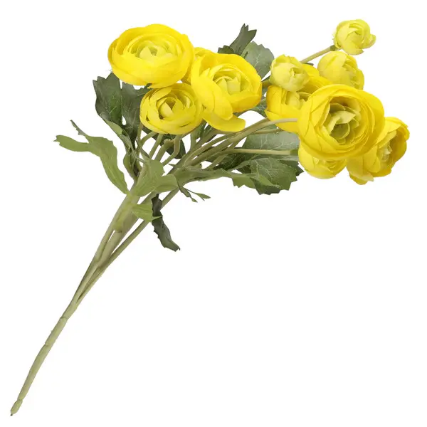 ILMAZZOLINO RANUNCOLO YELLOW ORANGE 2 Image