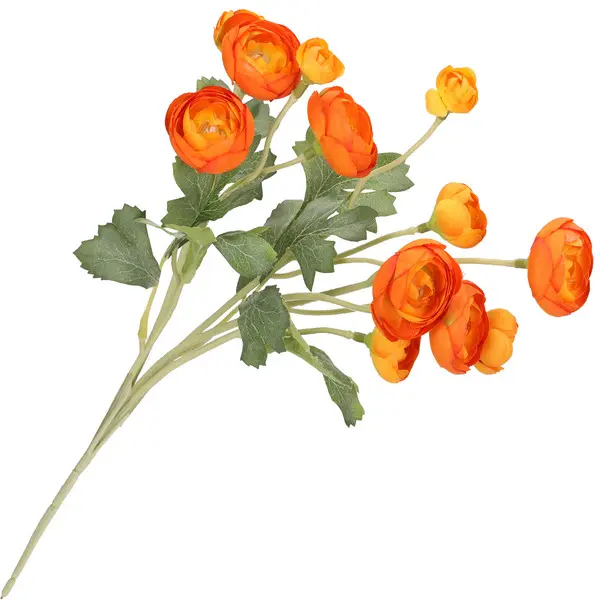 ILMAZZOLINO RANUNCOLO YELLOW ORANGE 3 Image