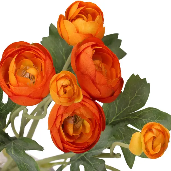 ILMAZZOLINO RANUNCOLO YELLOW ORANGE 4 Image