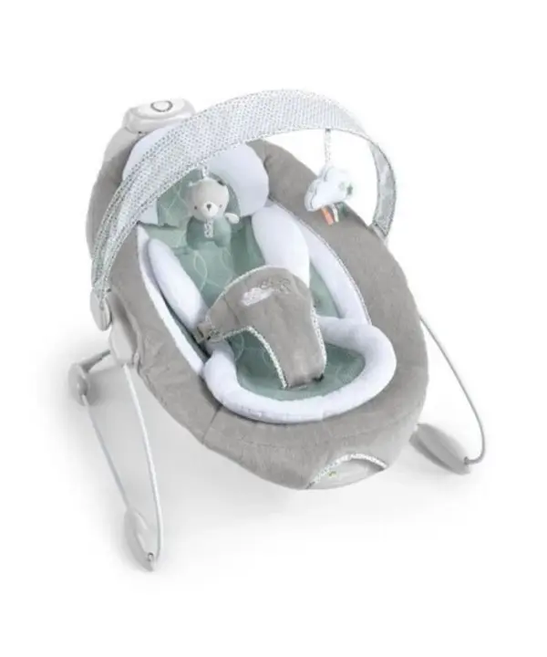 Automatic Bouncer 1 Image