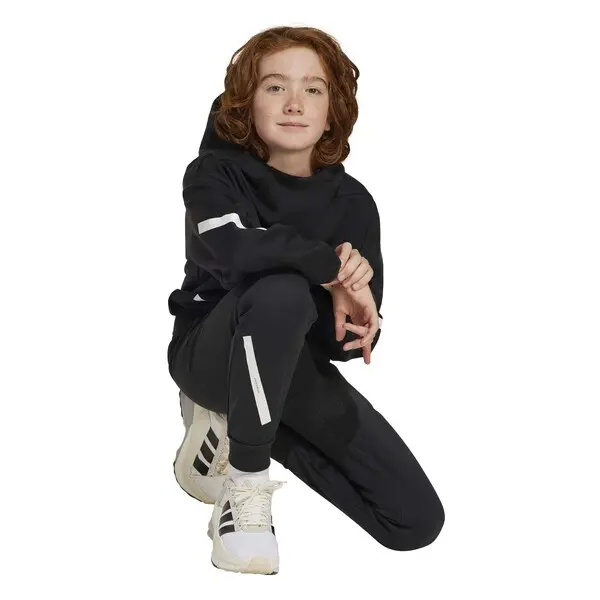 ZNE Hooded Sweatshirt 3 Image