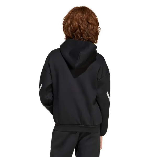 ZNE Hooded Sweatshirt 4 Image
