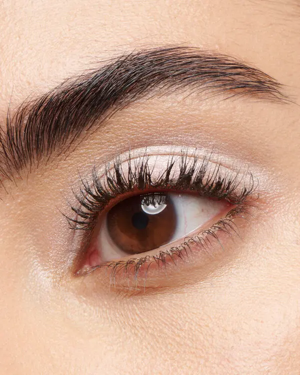 Eye Quartet Palette 1 Image