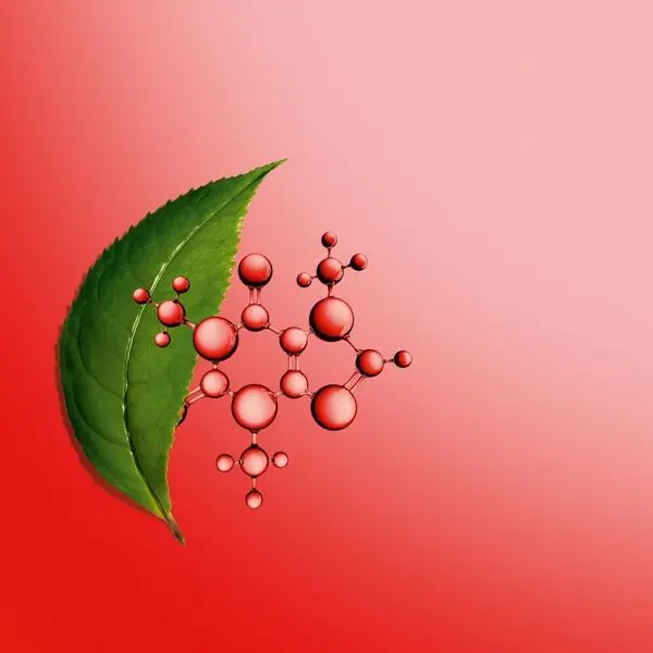 Body Fit Active Skin Smoothing Expert - Body Contouring + Cellulite Targeting Gel-Cream 3 Image