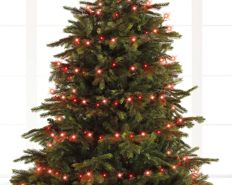 LED Basic Lights with 8 Function Twinkle Effect  1 Image