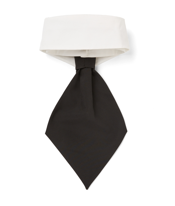 Detachable Collar and Scarf Tie 1 Image