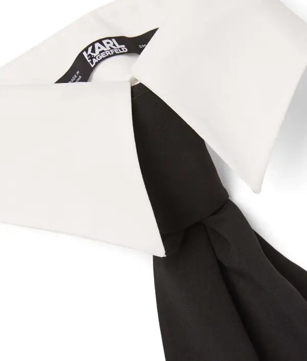 Detachable Collar and Scarf Tie 2 Image