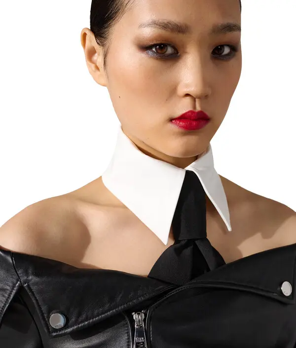 Detachable Collar and Scarf Tie 3 Image