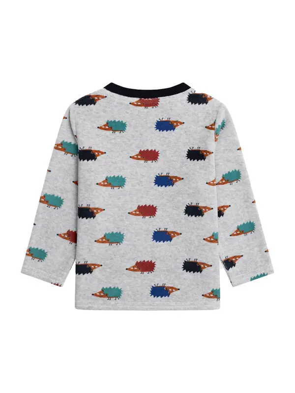 Boys Hedgehog Pajamas 5 Image