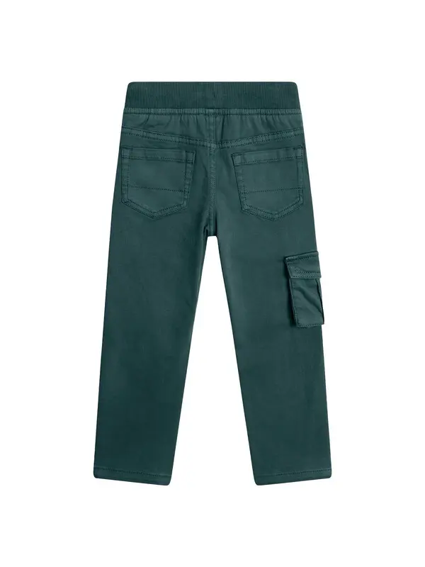 Fir Green Cargo Pants 1 Image