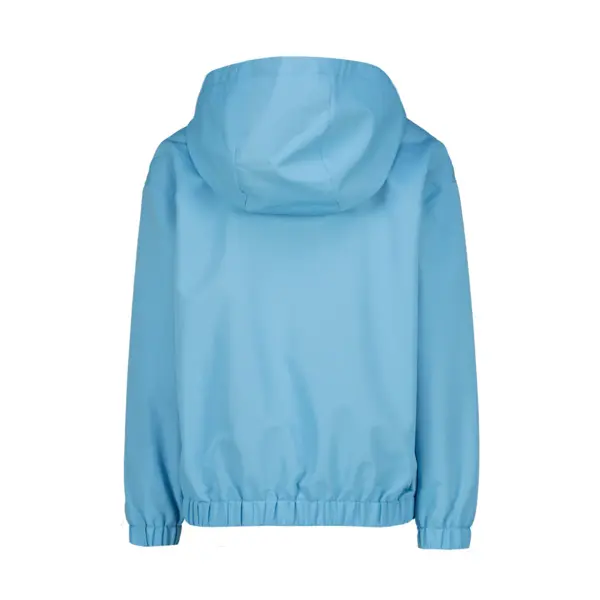 Two-Tone Quarter-Zip Hooded Windbreaker 1 Image