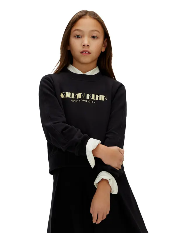 Boxy Logo Sweatshirt 4 Image