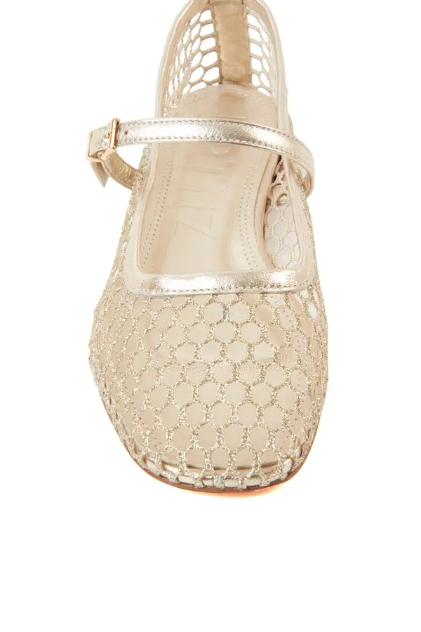 Gold Mesh Mary Jane Flat with Metallic Trim 2 Image