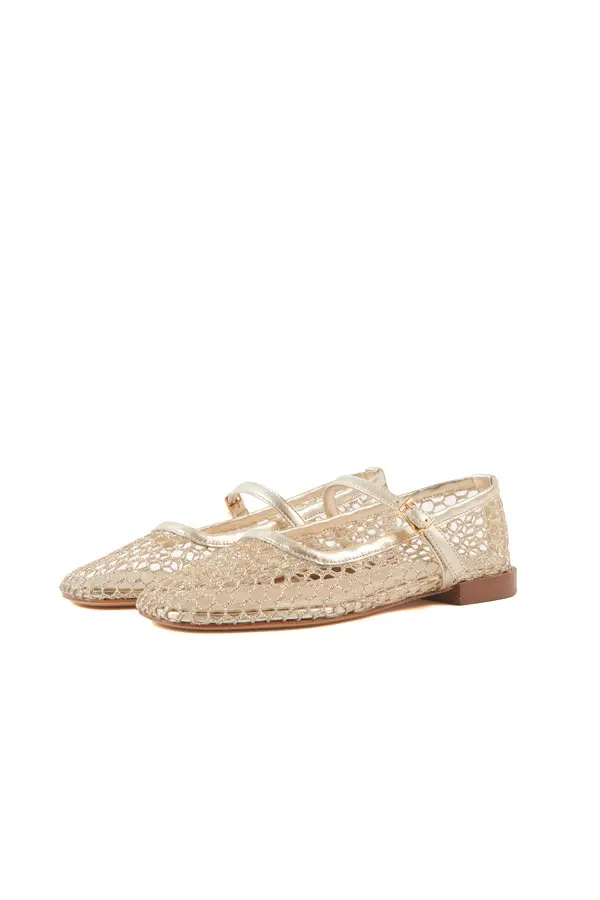 Gold Mesh Mary Jane Flat with Metallic Trim 3 Image
