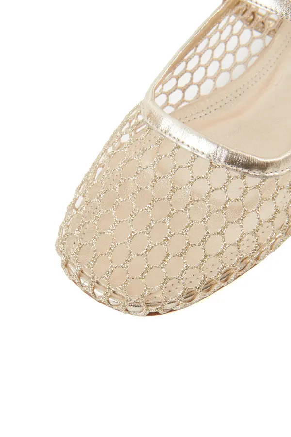 Gold Mesh Mary Jane Flat with Metallic Trim 4 Image