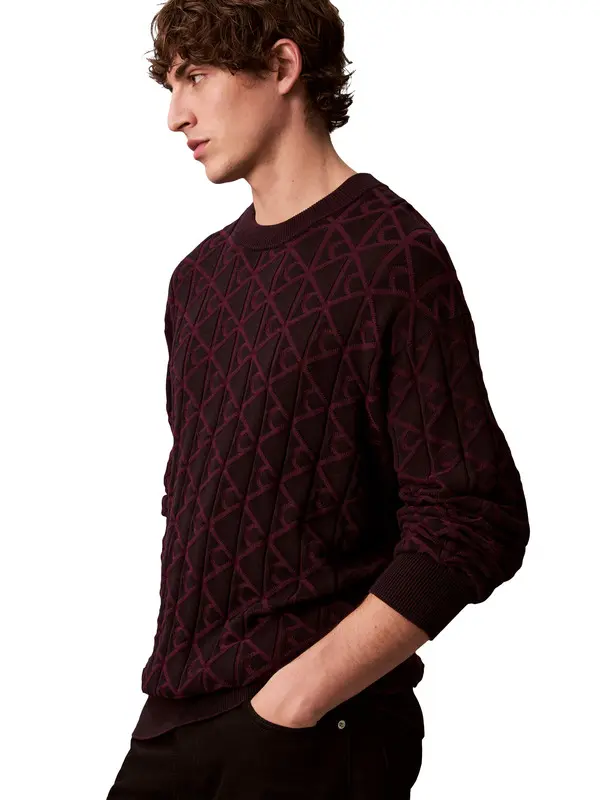 Allover Emblem Logo Relaxed Jumper 1 Image