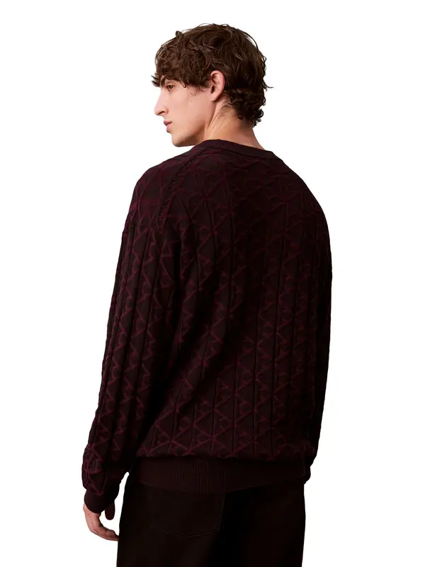 Allover Emblem Logo Relaxed Jumper 2 Image