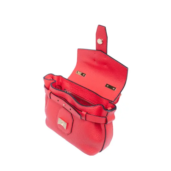 Red Grained Leather Mini Handbag 3 Image