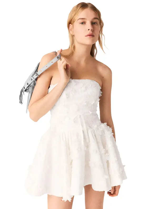 Short Embroidered Bustier Dress 1 Image