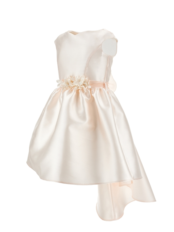 Dress with Flowers 1 Image