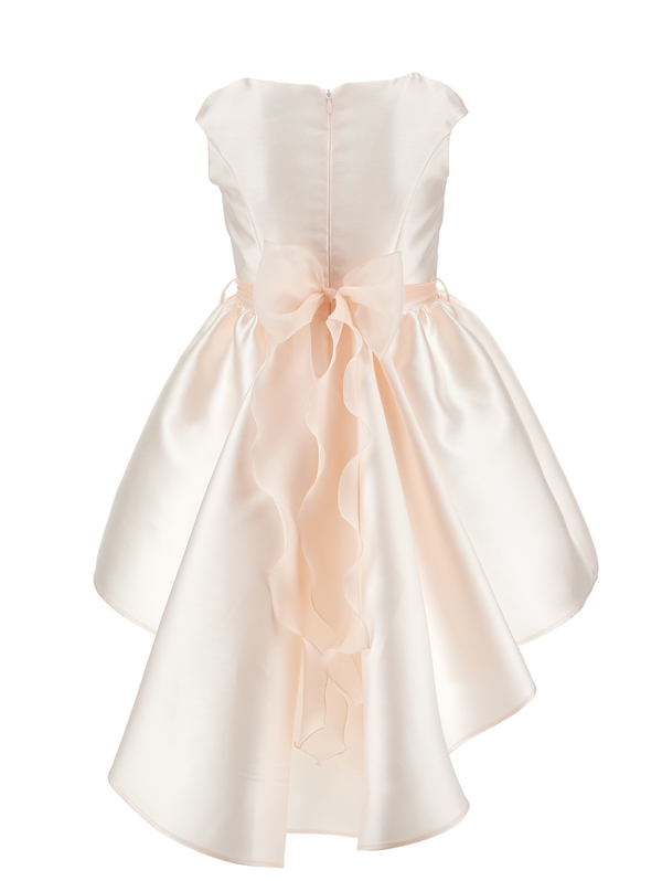 Dress with Flowers 3 Image