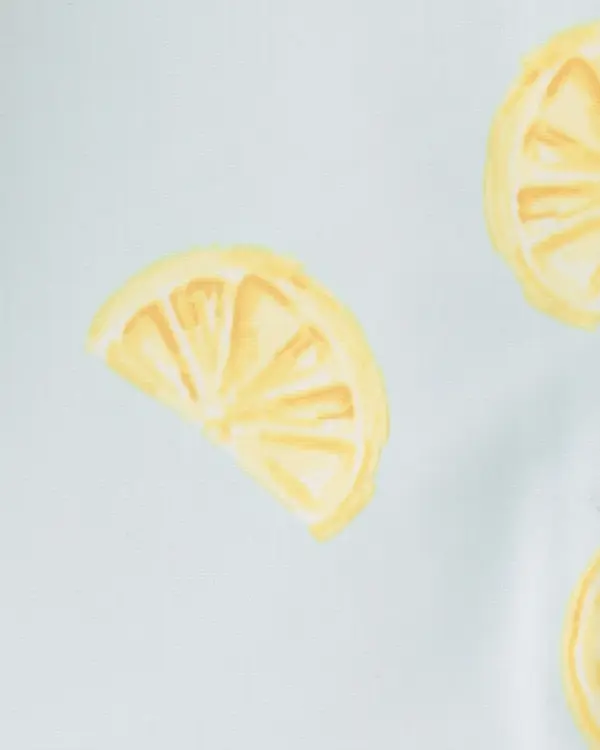 Kids Baby Girl 1-Piece Lemon Rashguard Swimsuit - Blue 2 Image