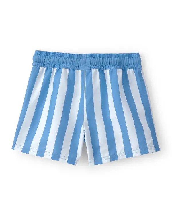  Toddler Boy Striped Swim Trunks - Blue 2 Image
